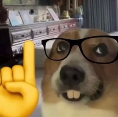 nerd dog meme generator